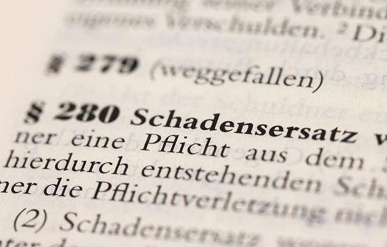 Schadensersatz Rechtsanwalt